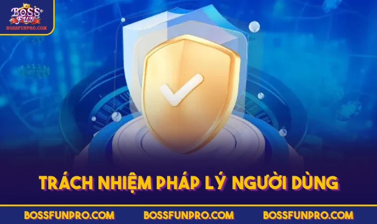 Miễn Trừ Trách Nhiệm BOSSFUN Cập Nhật Điều Khoản Quan Trọng 200 Trách nhiệm pháp lý người dùng